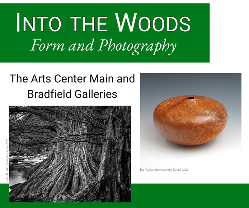 Read more about the article Into The Woods